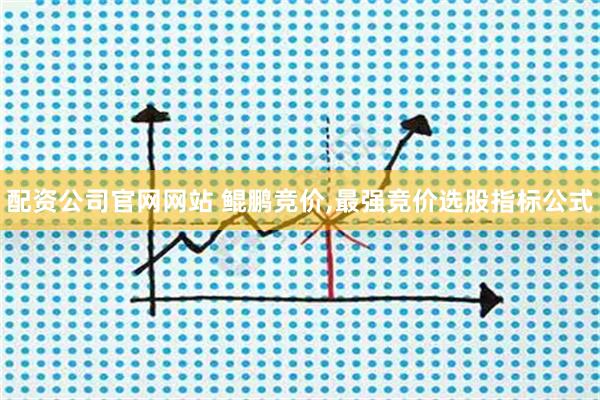 配资公司官网网站 鲲鹏竞价,最强竞价选股指标公式